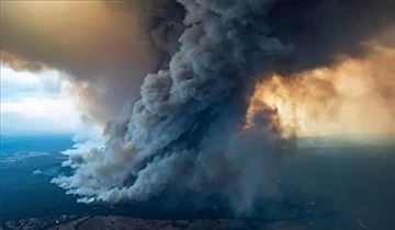 موجودات آبزی استرالیا؛ قربانیان ناپیدای آتش‌سوزی در جنگل‌