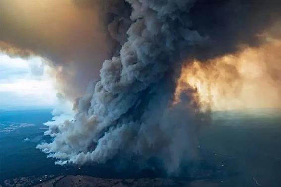 موجودات آبزی استرالیا؛ قربانیان ناپیدای آتش‌سوزی در جنگل‌